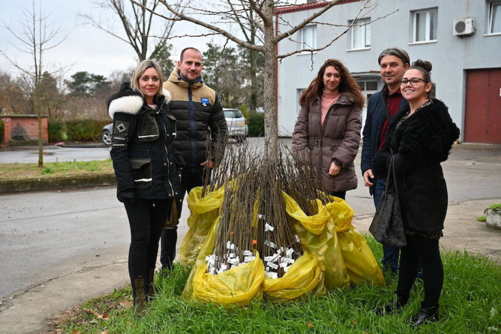 Kompanija Carlsberg Srbija priključila se akciji „Posadi svoj hlad“ donacijom 1000 sadnica