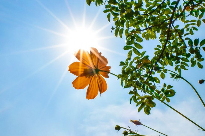Horoskop za 18. jul: Ribe očekuje vas niz zanimljivih susreta, Lavovi pripremite se za protivuslugu Horoskop za 18. jul: Ribe očekuje vas niz zanimljivih susreta, Lavovi pripremite se za protivuslugu