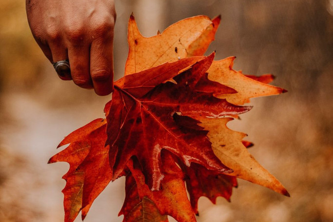 Horoskop za 16. septembar: Ovnovi ljubomora vam neće pomoći u rešavanju problema sa partnerom, Blizanci ubedljivi argumenti vaš su izlaz Horoskop za 16. septembar: Ovnovi ljubomora vam neće pomoći u rešavanju problema sa partnerom, Blizanci ubedljivi argumenti vaš su izlaz