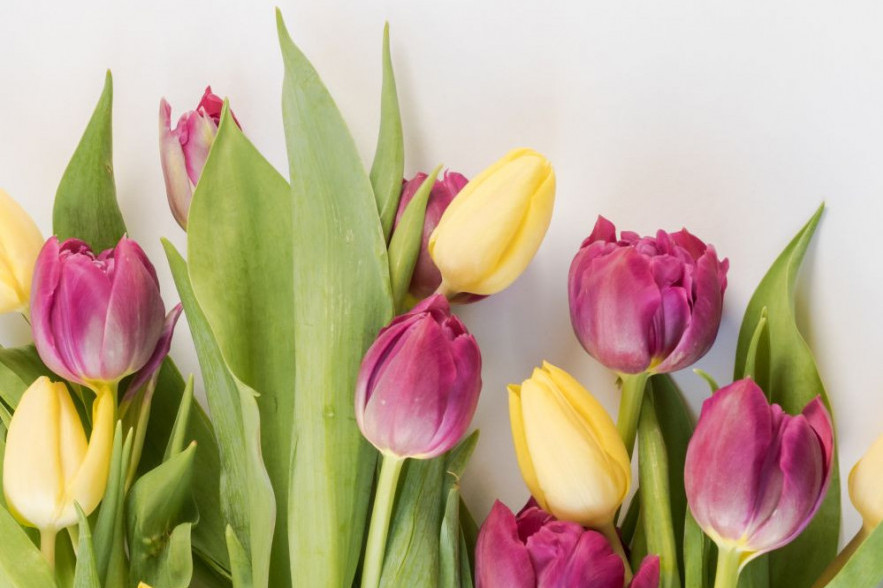 Horoskop za 4. april: Ovnovi, očekujte tegobe u donjem delu leđa, Blizanci, proverite zašto vas glava boli Horoskop za 4. april: Ovnovi, očekujte tegobe u donjem delu leđa, Blizanci, proverite zašto vas glava boli
