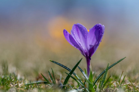 Horoskop za 23. mart: Blizanci, neko iz prošlosti se neočekivano vraća u vaš život, Device opustite se i pokažite osećanja Horoskop za 23. mart: Blizanci, neko iz prošlosti se neočekivano vraća u vaš život, Device opustite se i pokažite osećanja