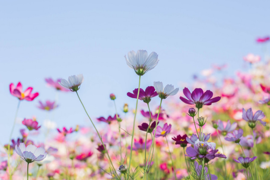 Horoskop za 21. april: Vage iščekuju da partner otvori karte, Vodolije se bore sa prekomernim stresom, a Blizanci? Horoskop za 21. april: Vage iščekuju da partner otvori karte, Vodolije se bore sa prekomernim stresom, a Blizanci?