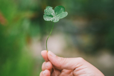 Horoskop za 25. jun: Blizancima potreban odmor, Rakovima sve ide od ruke, a pripadnike ovog znaka očekuje veliko iznenađenje Horoskop za 25. jun: Blizancima potreban odmor, Rakovima sve ide od ruke, a pripadnike ovog znaka očekuje veliko iznenađenje