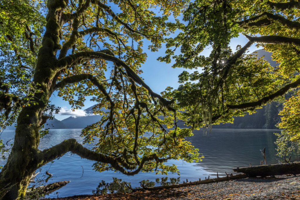 Horoskop za 28. jul: Lavovi nemojte propustit priliku koja vam se ukazuje, OVAJ ZNAK bi trebalo da prati sledi intuiciju Horoskop za 28. jul: Lavovi nemojte propustit priliku koja vam se ukazuje, OVAJ ZNAK bi trebalo da prati sledi intuiciju