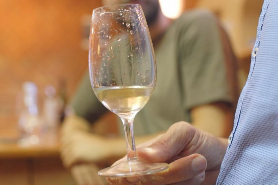 Porodična vinarija u korak sa trendovima Porodična vinarija u korak sa trendovima