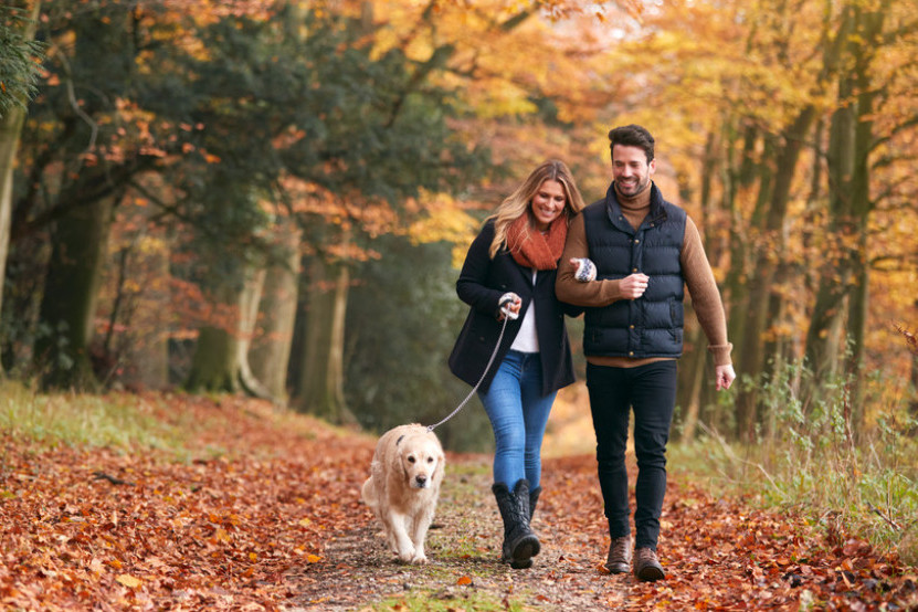 Horoskop za 18. novembar: Ovnove očekuje prijatno emotivno iznenađenje! Pripadnici ovog znaka zaljubiće se na prvi pogled Horoskop za 18. novembar: Ovnove očekuje prijatno emotivno iznenađenje! Pripadnici ovog znaka zaljubiće se na prvi pogled