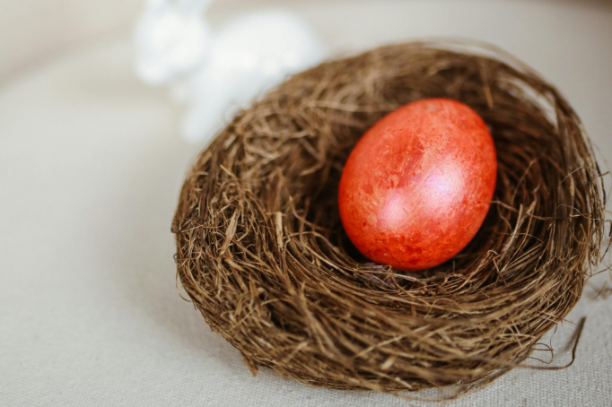 Nemojte da je čuvate, ni da je bacate: Šta treba da uradite sa čuvarkućom od prošle godine Nemojte da je čuvate, ni da je bacate: Šta treba da uradite sa čuvarkućom od prošle godine
