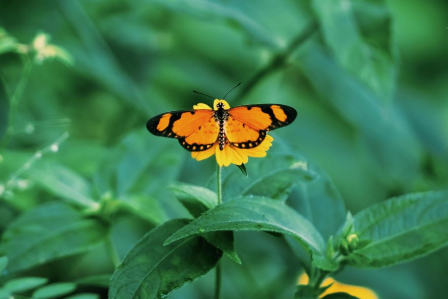 Horoskop za 26. jul: Vodolije, idealno je vreme da iskažete svoja osećanja; Jarčevi, razgovor sa partnerom će vam goditi Horoskop za 26. jul: Vodolije, idealno je vreme da iskažete svoja osećanja; Jarčevi, razgovor sa partnerom će vam goditi