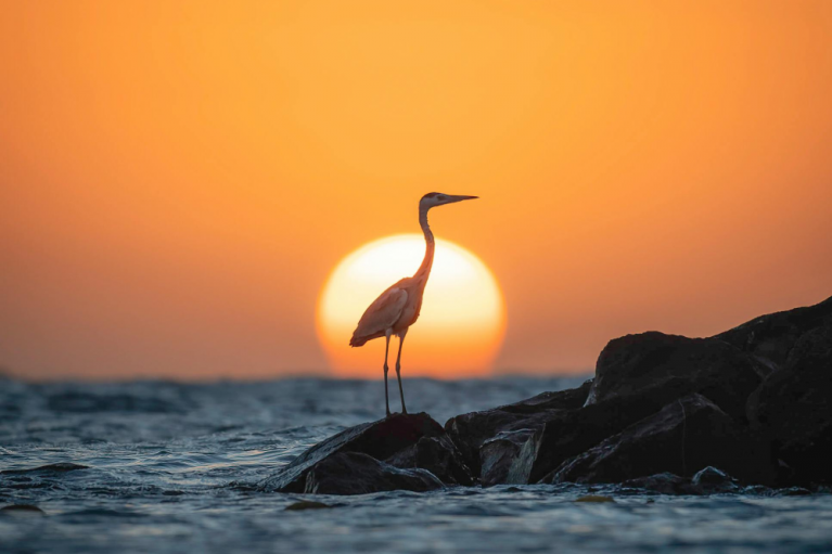 Horoskop za 27. jun: Bikovi lako ispadaju iz ravnoteže, Vagama jedno poznanstvo može promeniti sve, a Rakovi? Horoskop za 27. jun: Bikovi lako ispadaju iz ravnoteže, Vagama jedno poznanstvo može promeniti sve, a Rakovi?