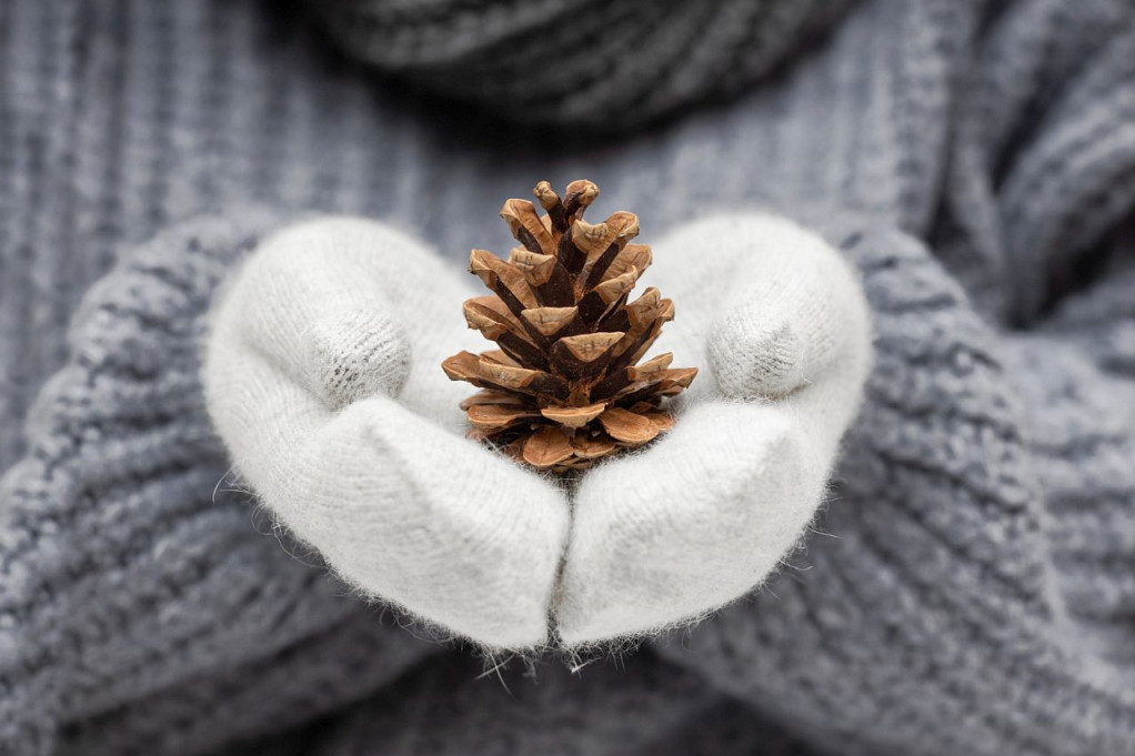Horoskop za 21. decembar: Blizance očekuje izazovan period, Device, vaša napetost prenosi se na partnera Horoskop za 21. decembar: Blizance očekuje izazovan period, Device, vaša napetost prenosi se na partnera