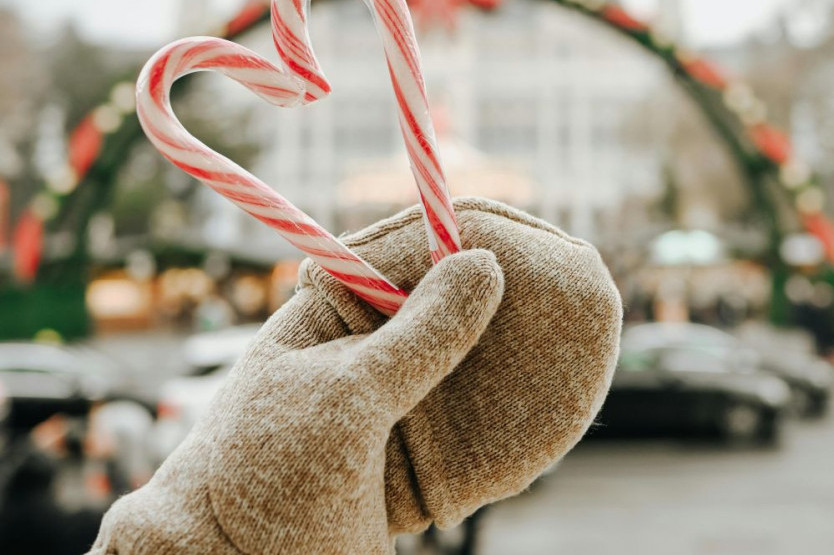 Horoskop za 19. decembar: Ovnovi, neočekivano poznanstvo očekuje vas preko posla; Rakovi, samo od vas zavisi da li ćete biti solo Horoskop za 19. decembar: Ovnovi, neočekivano poznanstvo očekuje vas preko posla; Rakovi, samo od vas zavisi da li ćete biti solo