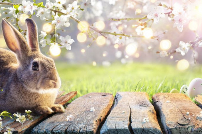 Horoskop za 22. april: Ovnovi ne tumačite tišinu kao odbijanje, Devicama je preko potrebna podrška Horoskop za 22. april: Ovnovi ne tumačite tišinu kao odbijanje, Devicama je preko potrebna podrška