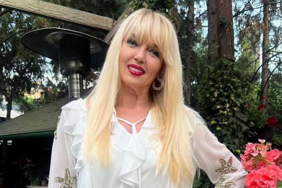 Vila Branke Sovrlić kao iz holivudskog filma: Unutrašnjost od zlata, a tek kad vidite dvorište… FOTO